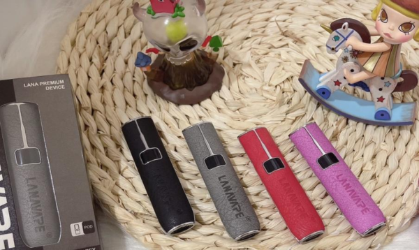 LANA 皮革主機細節